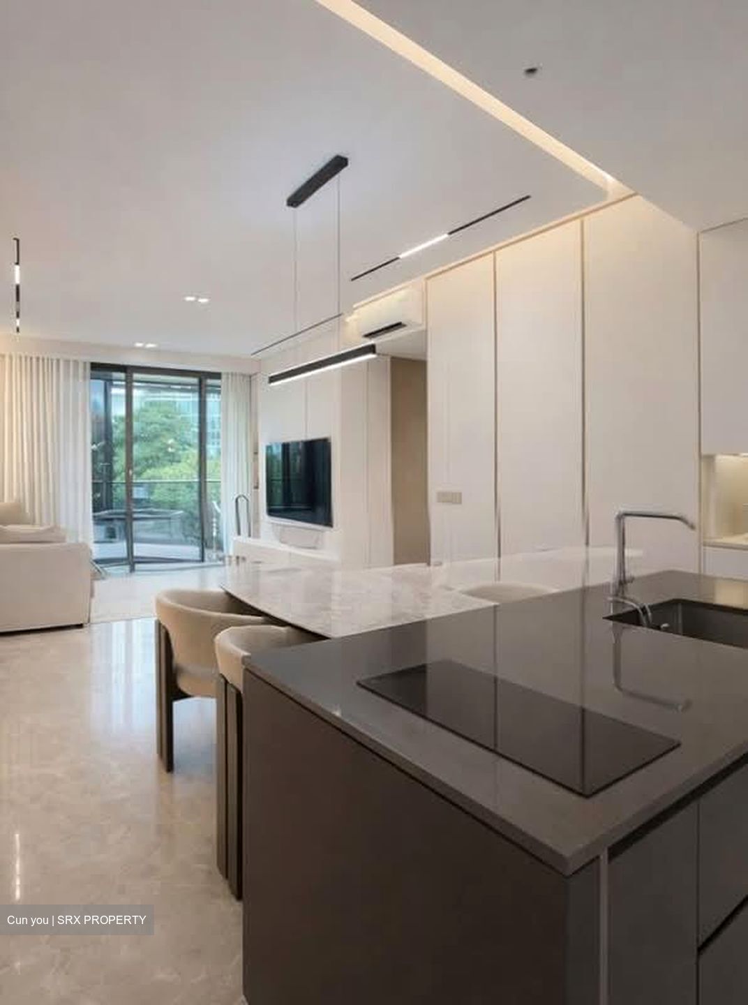 Amber Park (D15), Condominium #532861471